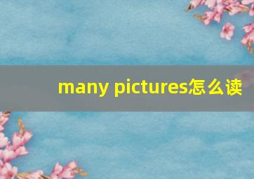 many pictures怎么读